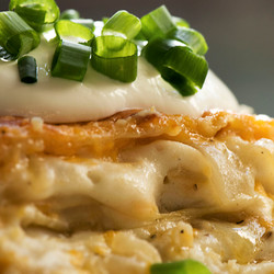 Pierogi Lasagna