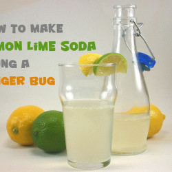 Lemon Lime Ginger Bug Soda