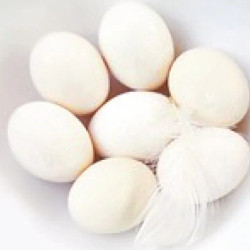 Alpine Eggs
