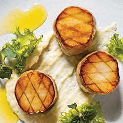 King Oyster "scallops" With Parsnip Purée