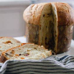 Sourdough Panettone