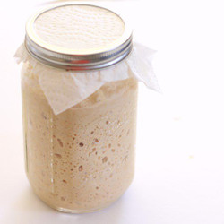 Homemade Sourdough Starters