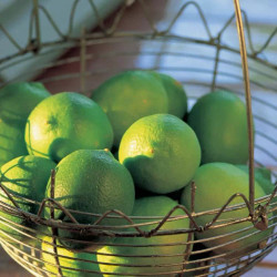 Lime And Mango Ice Cream Delia Smith easy