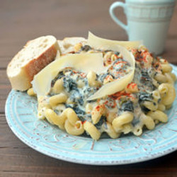 Spinach And Artichoke Dip Alfredo