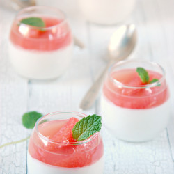 Coconut Panna Cotta With Grapefruit Gelee