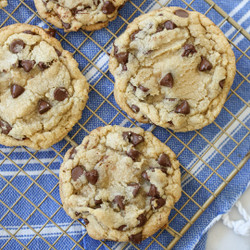 Chewy Chocolate Chip Cookies