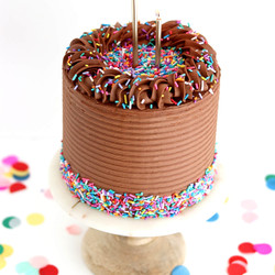 Yellow Cake With Chocolate Frosting