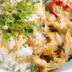 Crispy Shredded Tofu W/ Cabbage, Rice, And Chile-coconut Sauce