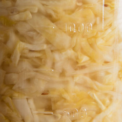 Homemade Sauerkraut