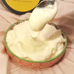 Instant Pot Homemade Noosa Honey Yoghurt