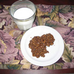 Biscuits Au Chocolat Et Gruau