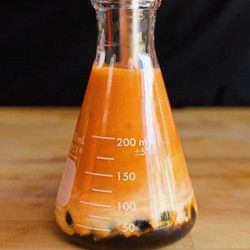 Authentic Thai Tea Boba