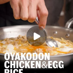 Oyakodon Chicken+egg Rice