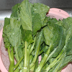 Chinese Broccoli (gai Lan) With Oyster Sauce
