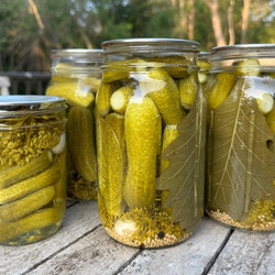 Crunchy Dill Pickles
