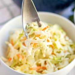 Best Kfc Coleslaw Recipe