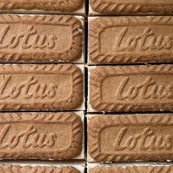Biscoff Ice Cream Sandwiches
