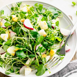 Watercress Salad