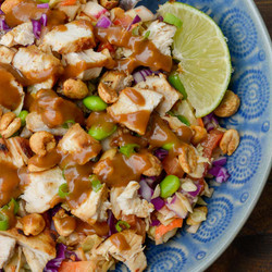 Crunchy Thai Chicken Salad