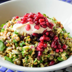 Hellenic Republic’s Cypriot Grain Salad