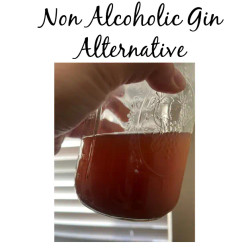 Non-alcoholic Gin Alternative