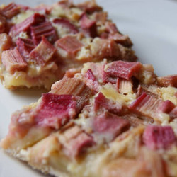 Rhubarb Custard Bars