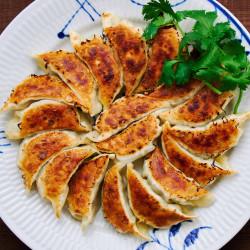 Best Pork Gyoza