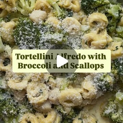 Pasta Alfredo With Broccoli And Scallops