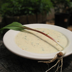 Ramps And White Cheddar Soup
