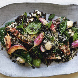 French Lentils With Roasted Radishes