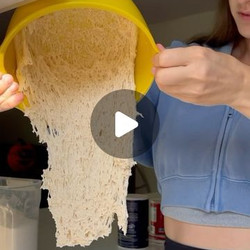 Small Batch No Knead Sourdough English Muffins