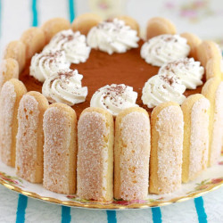 No-bake Tiramisu Cheesecake Recipe