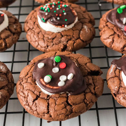 Hot Chocolate Cookies