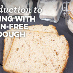 Introduction To Working With Gluten-free Sourdough