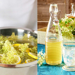 Holunderblütensirup Selber Machen