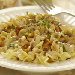 No Fuss Beef Stroganoff
