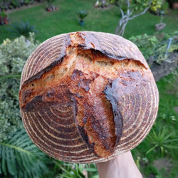 Sourdough Guide