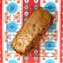 Snelle Herman Vriendschapscake