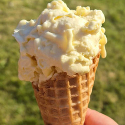 Ninja Creami Pineapple Ice Cream