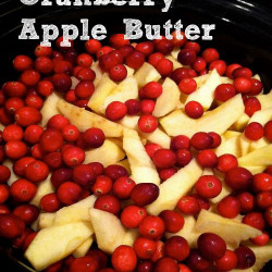 Cranberry-apple Butter: Slow Cooker Style -
