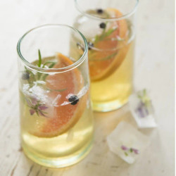Gin &amp; Tonic Vlierbloesem