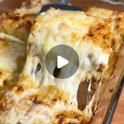 Chicken Alfredo Lasagna Rolls