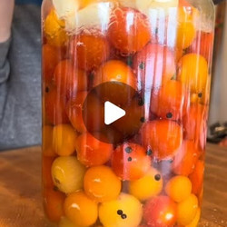 Pickled Petite Medley Tomatoes