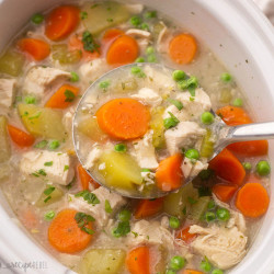 Crockpot Chicken Stew