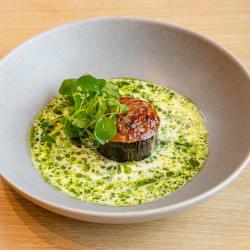 Monkfish