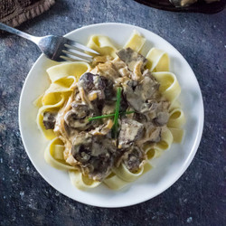 Venison Stroganoff