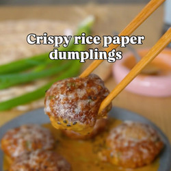 Crispy Rice Paper Dumplings