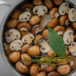 Simple Mushroom Stock