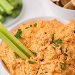 Crockpot Buffalo Chicken Dip Recipe
