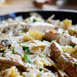 Bowtie Chicken Alfredo